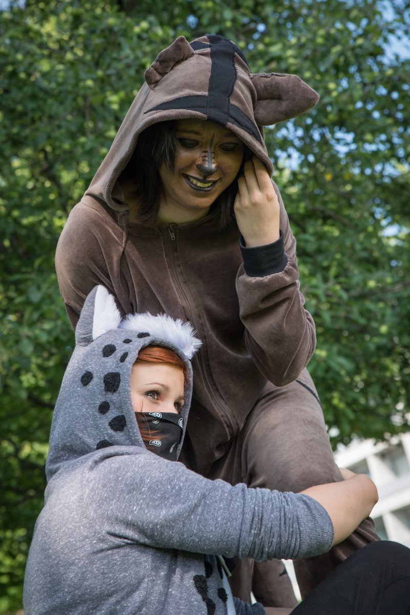 DSC_3044