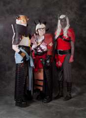 Desucon2013_la--450
