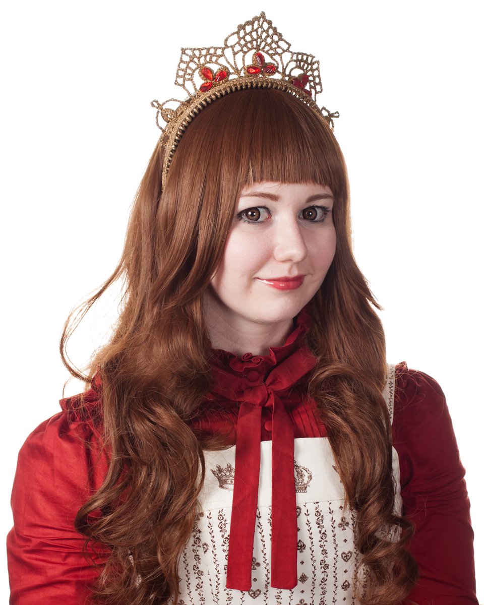 Desucon2013_la--620
