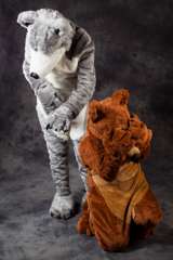 IMG_2343-2