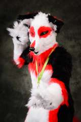DSC_9339-Edit