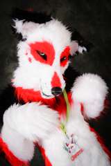DSC_9340-Edit