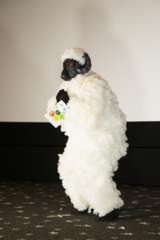 Cosplaykilpailu-35