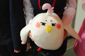 SAM_2941