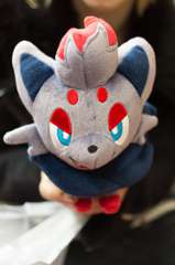 SAM_2959