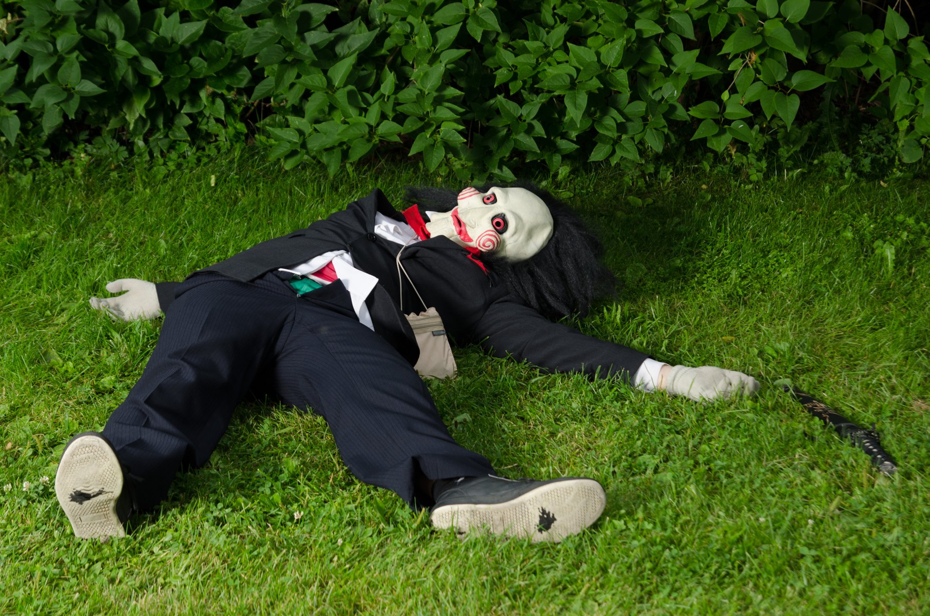 DSC_4970