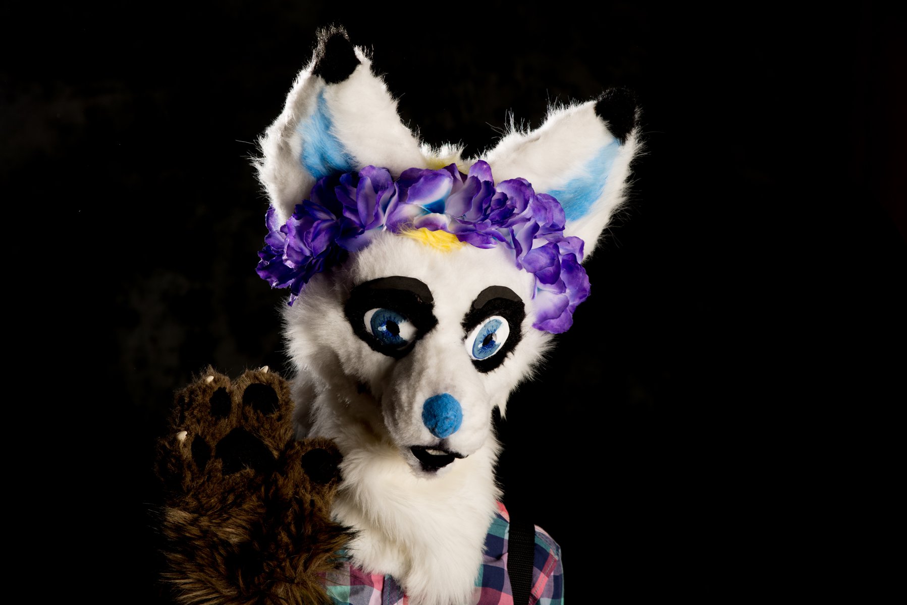 DSC_8405