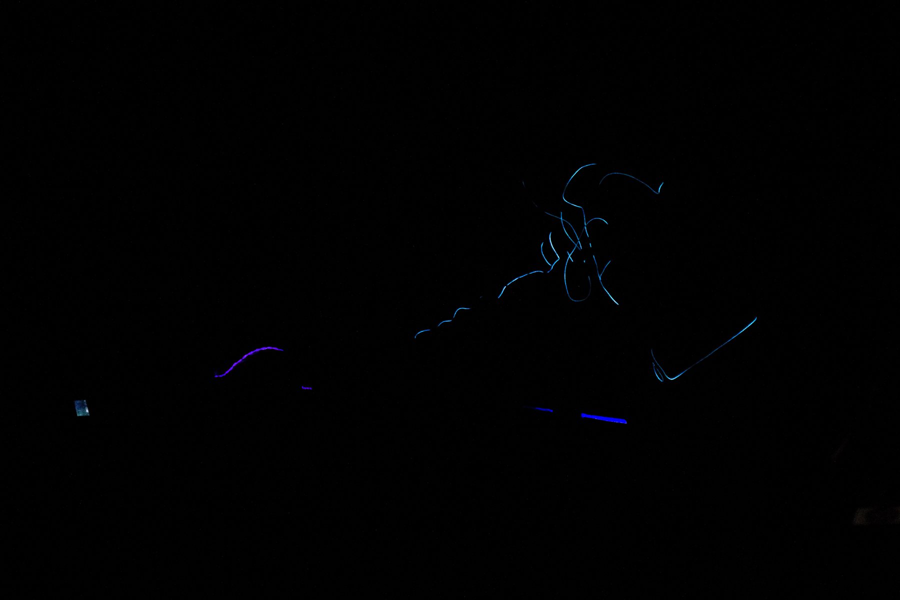 IMG_0356