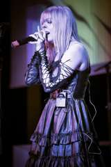 241026230438