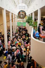 26092611255420